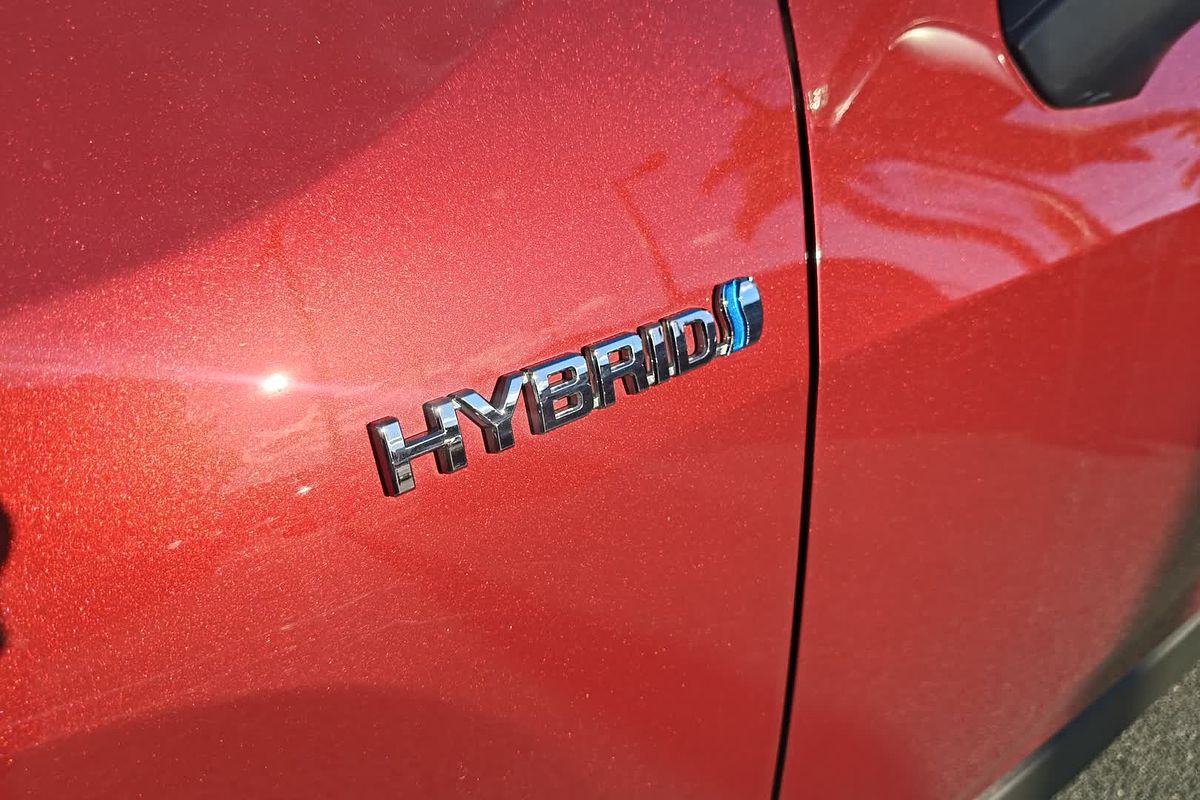 2020 Toyota RAV4 Cruiser AXAH54R