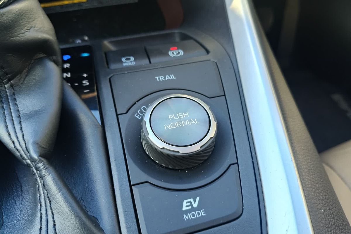 2020 Toyota RAV4 Cruiser AXAH54R