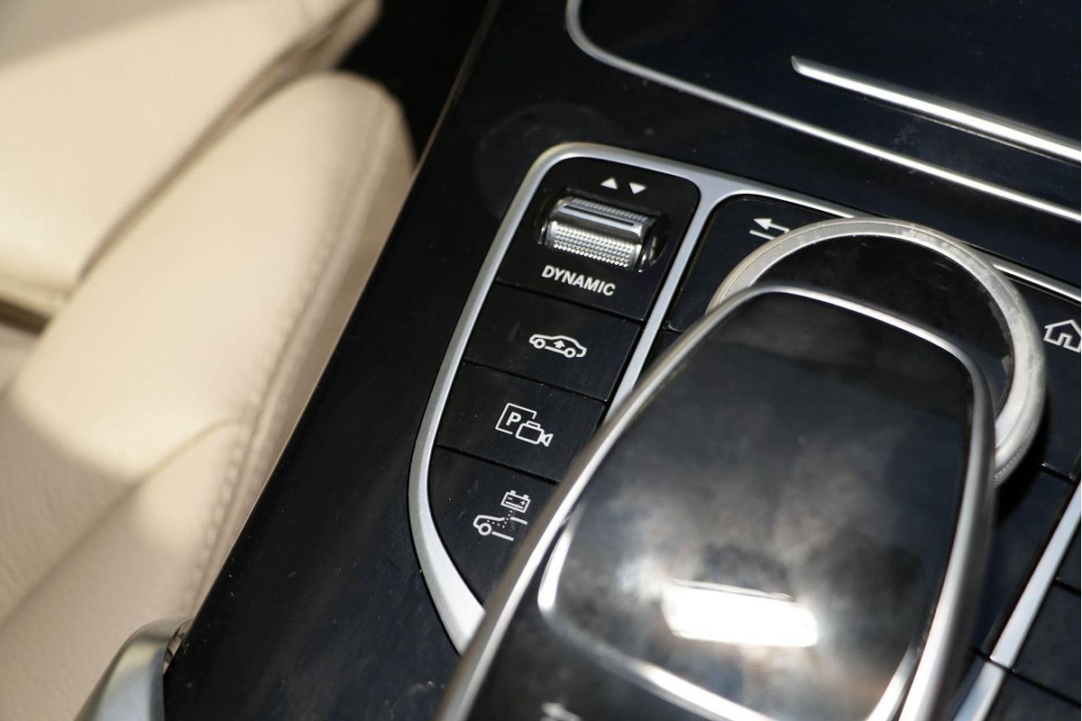 2020 Mercedes-Benz C-Class C300 e W205