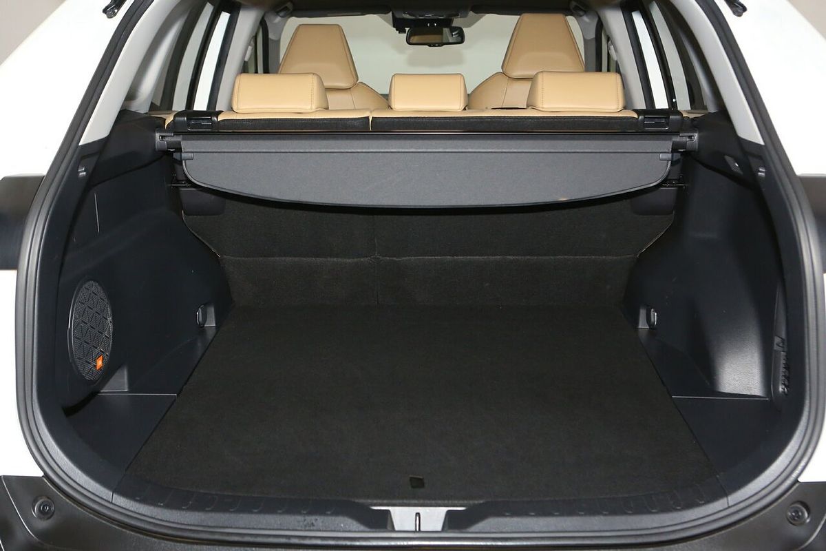2019 Toyota RAV4 Cruiser AXAH54R