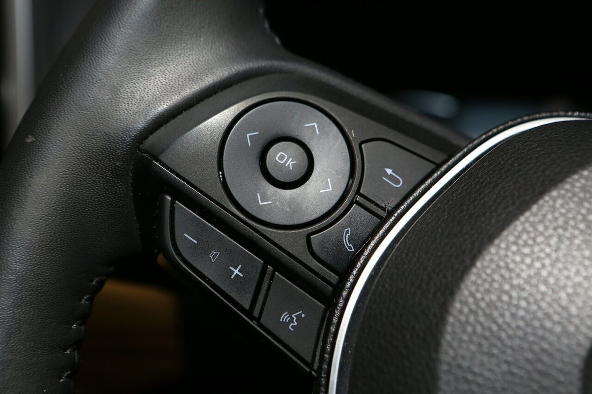 2019 Toyota RAV4 Cruiser AXAH54R