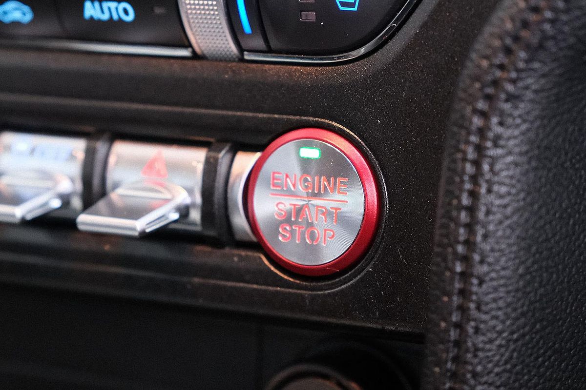 2019 Ford Mustang GT FN
