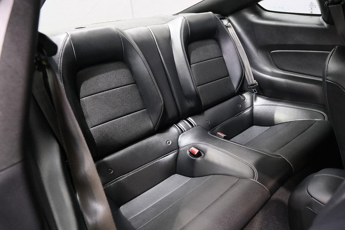 2019 Ford Mustang GT FN