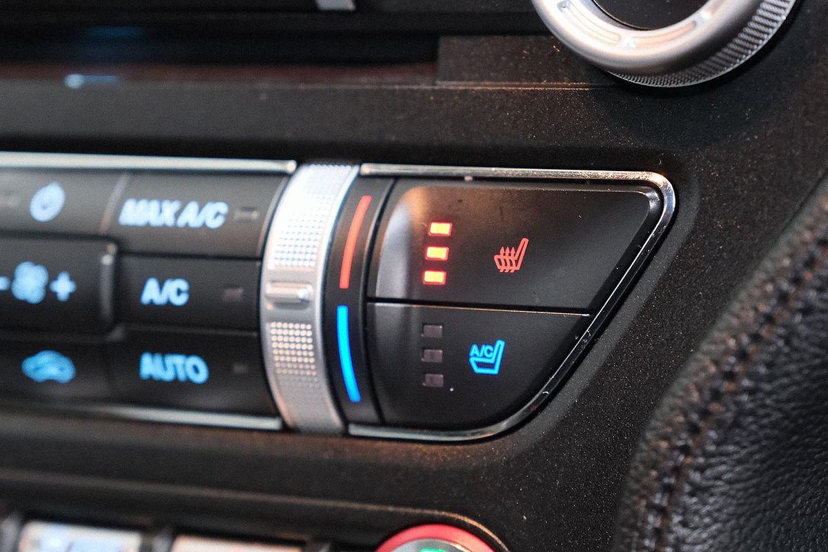 2019 Ford Mustang GT FN