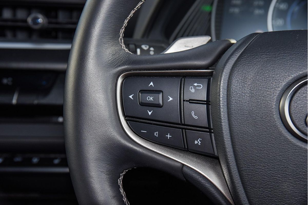 2022 Lexus UX UX300e Sports Luxury KMA10R