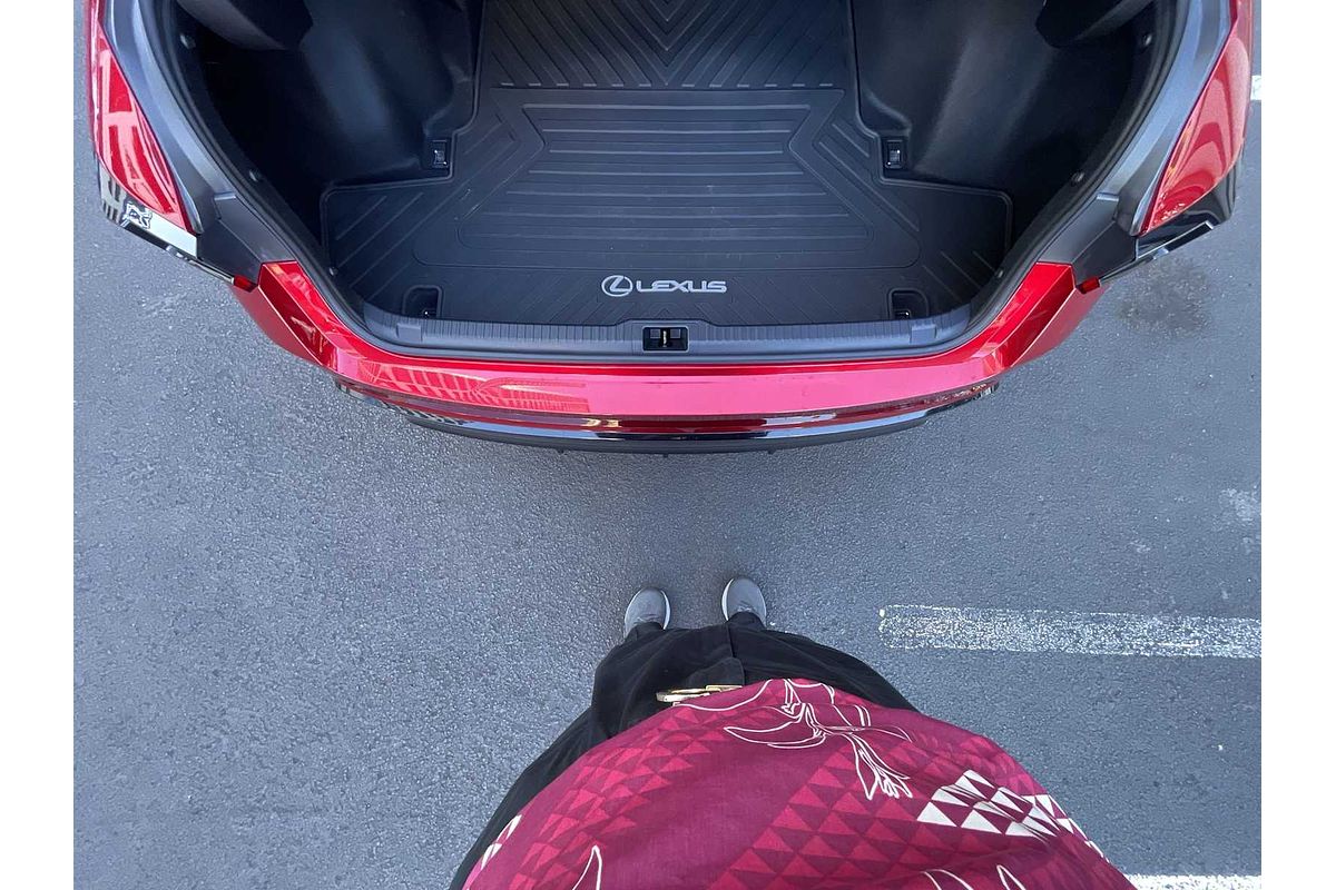 2022 Lexus IS F SPORT