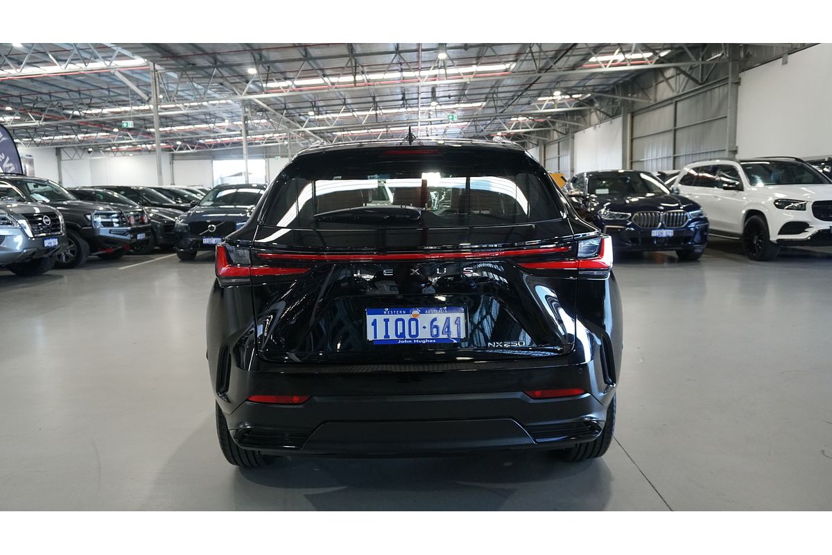 2023 Lexus NX NX250 AAZA20R