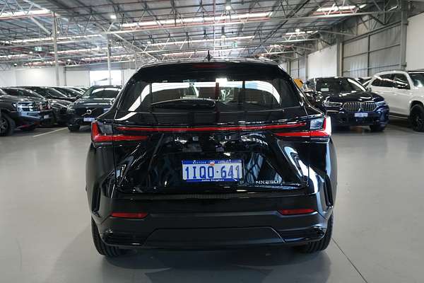 2023 Lexus NX NX250 AAZA20R