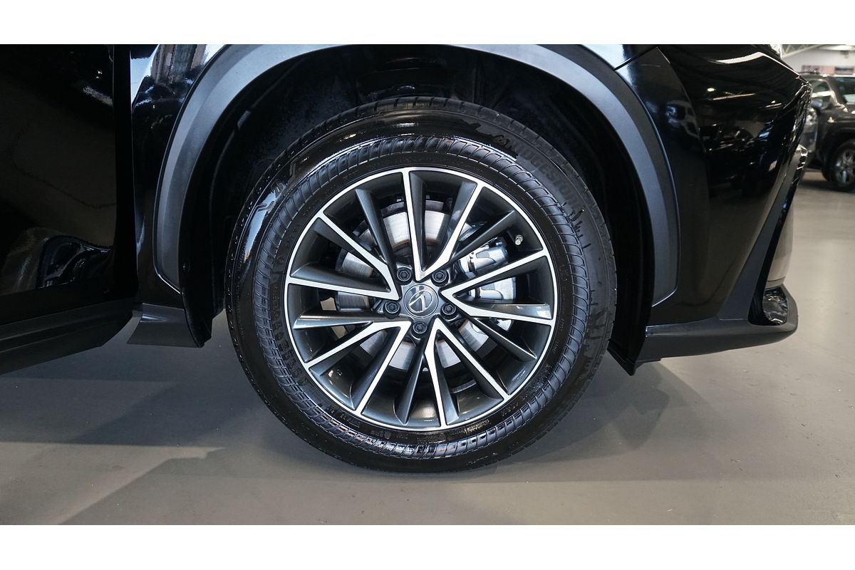 2023 Lexus NX NX250 AAZA20R