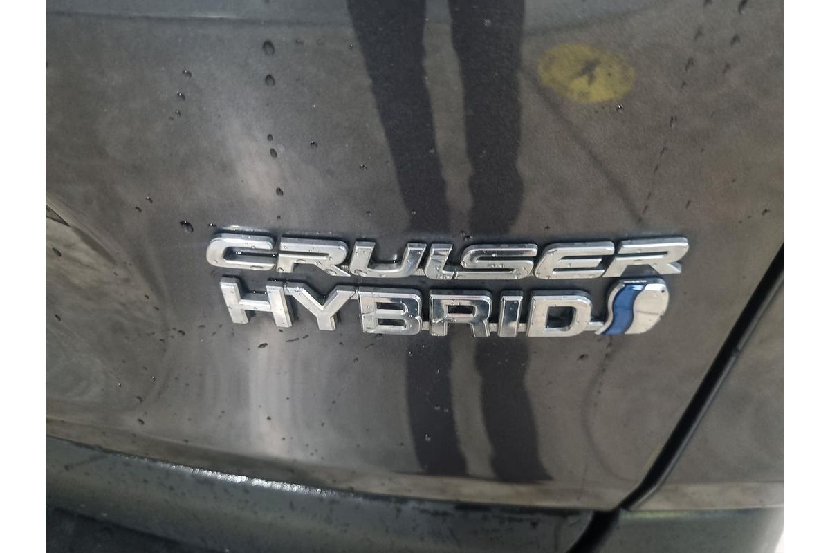 2019 Toyota RAV4 Cruiser AXAH52R
