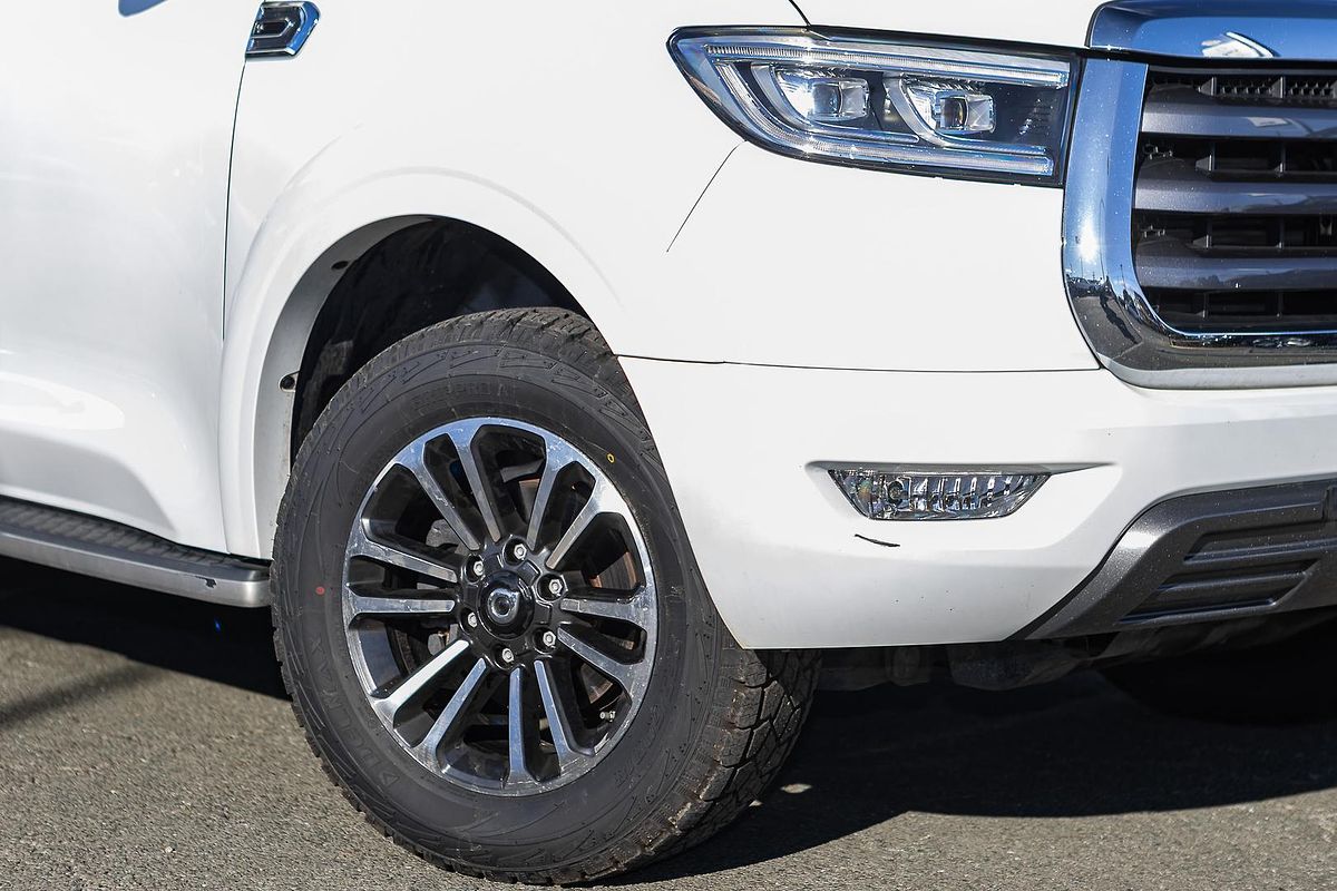 2022 GWM Ute Cannon NPW 4X4