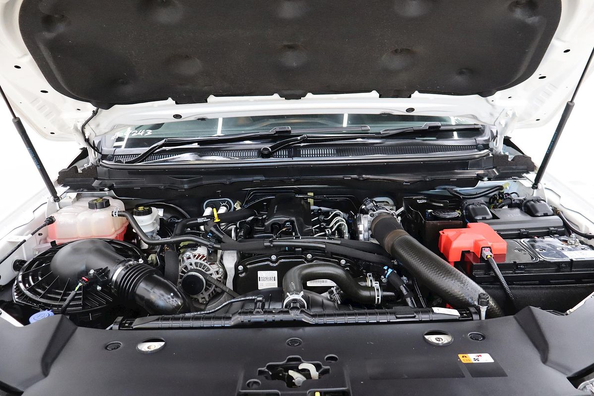 2019 Ford Ranger XL Hi-Rider PX MkIII Rear Wheel Drive 2.2L