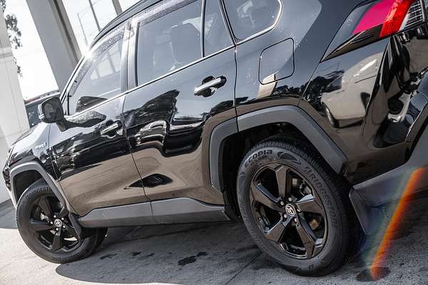2019 Toyota RAV4 Cruiser AXAH52R