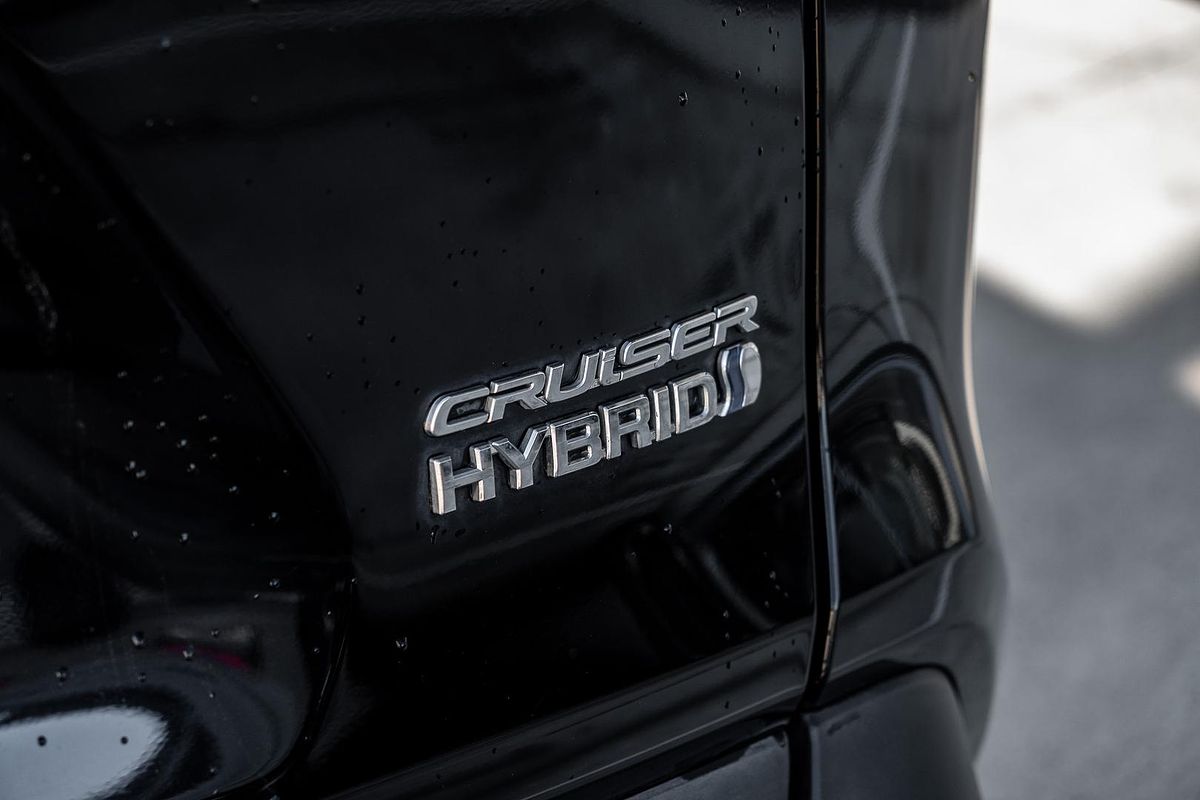 2019 Toyota RAV4 Cruiser AXAH52R