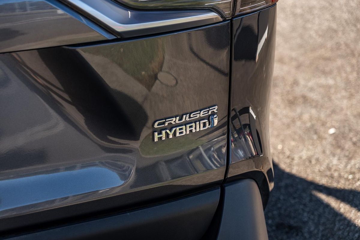 2019 Toyota RAV4 Cruiser AXAH52R