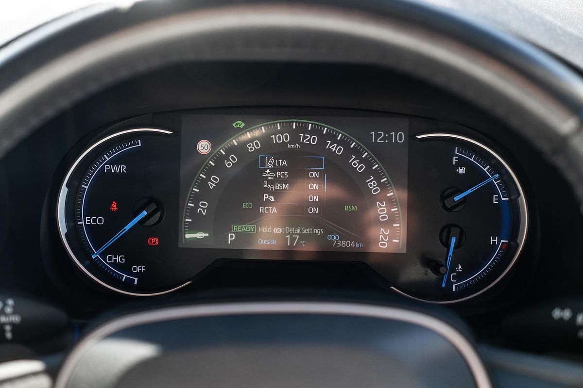 2019 Toyota RAV4 Cruiser AXAH52R