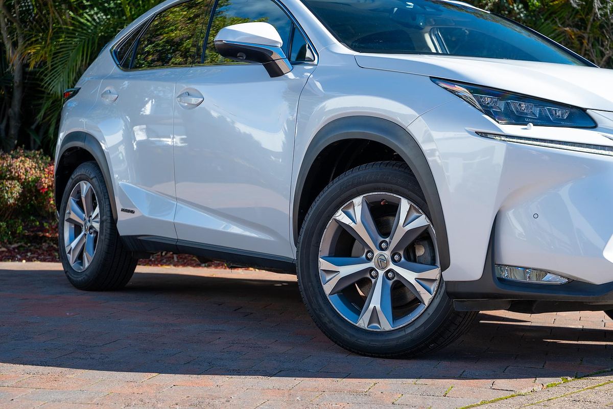 2014 Lexus NX NX300h Sports Luxury AYZ15R