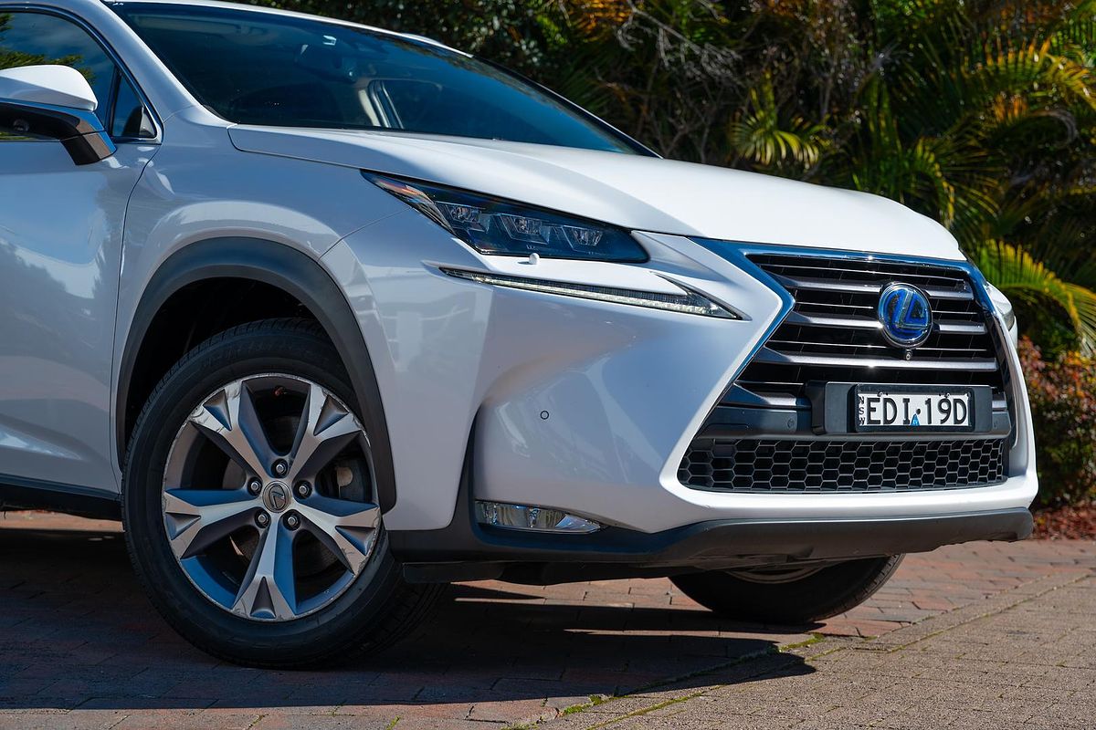 2014 Lexus NX NX300h Sports Luxury AYZ15R