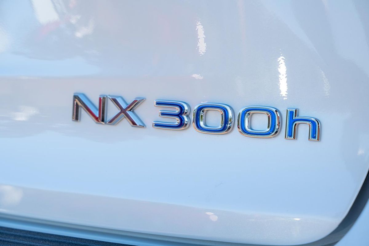 2014 Lexus NX NX300h Sports Luxury AYZ15R