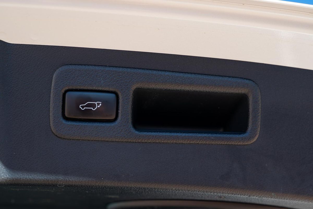 2014 Lexus NX NX300h Sports Luxury AYZ15R