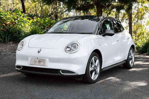 2023 GWM Ora Standard Range ES11