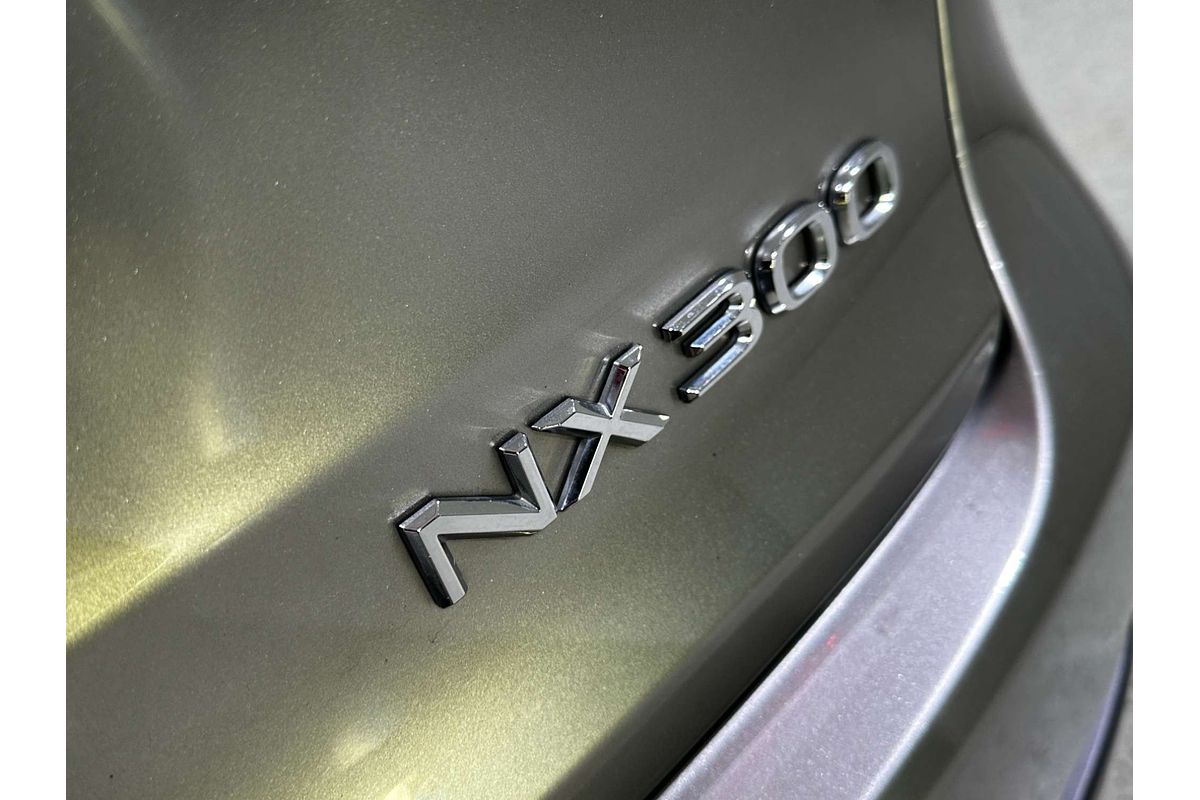 2019 Lexus NX NX300 F Sport AGZ15R