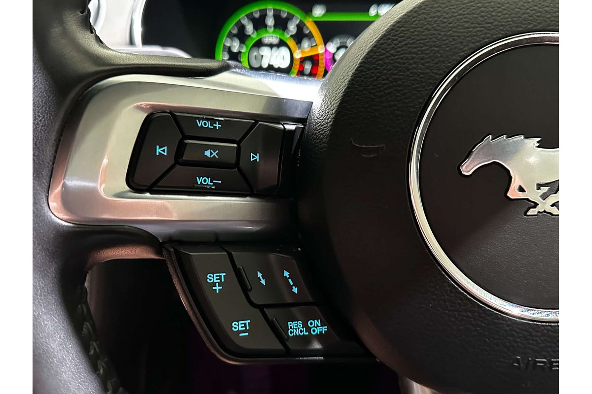 2019 Ford Mustang High Performance FN