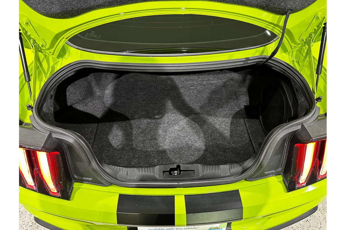 2019 Ford Mustang High Performance FN