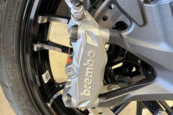 2025 Indian Chief SPORT CHIEF