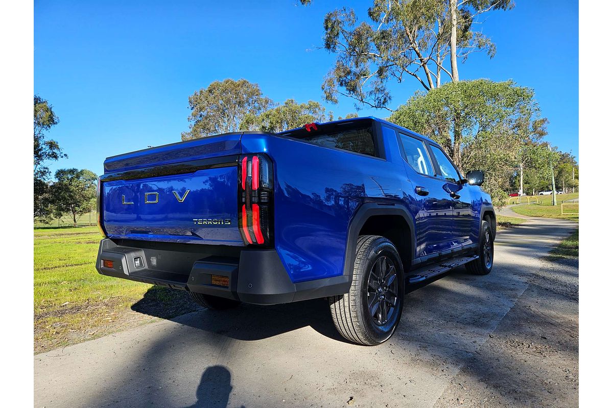 2025 LDV Terron 9 Origin EKK1C 4X4