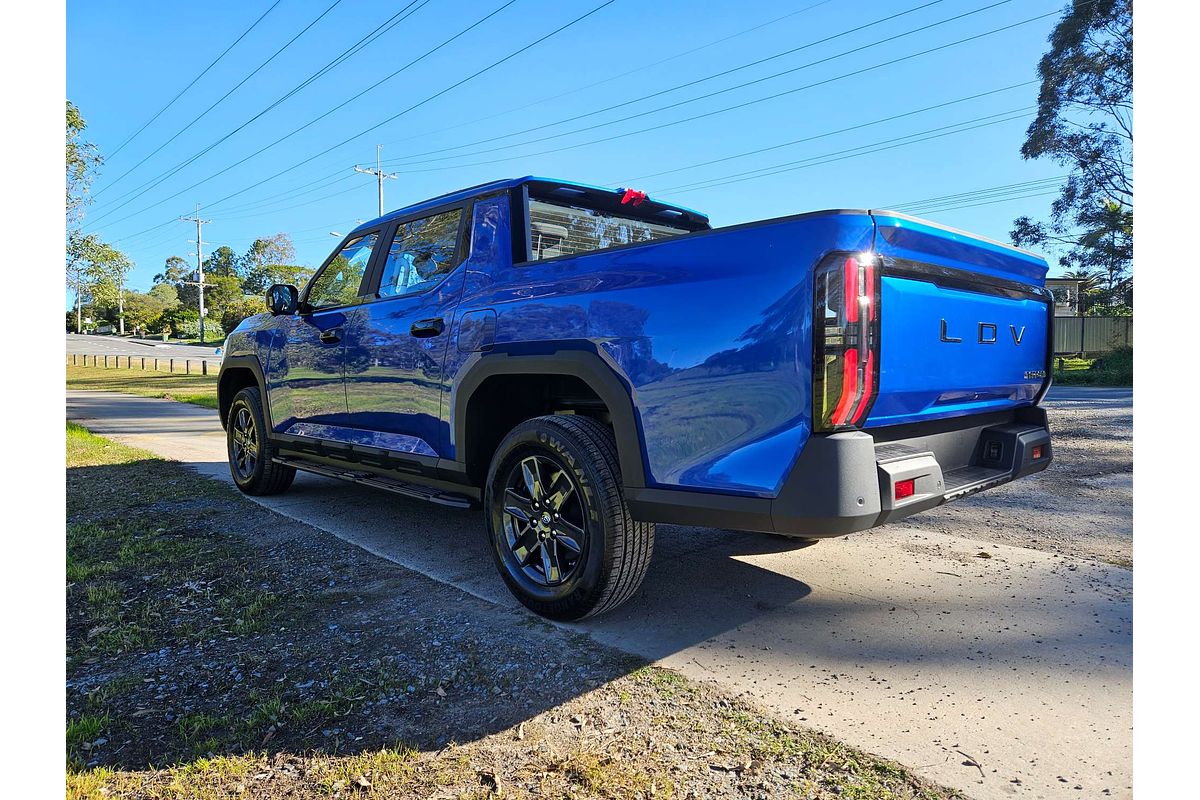 2025 LDV Terron 9 Origin EKK1C 4X4