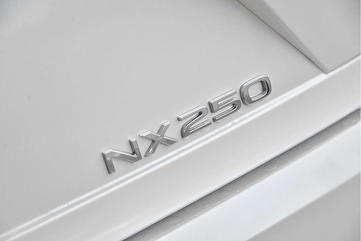 2023 Lexus NX NX250 AAZA20R