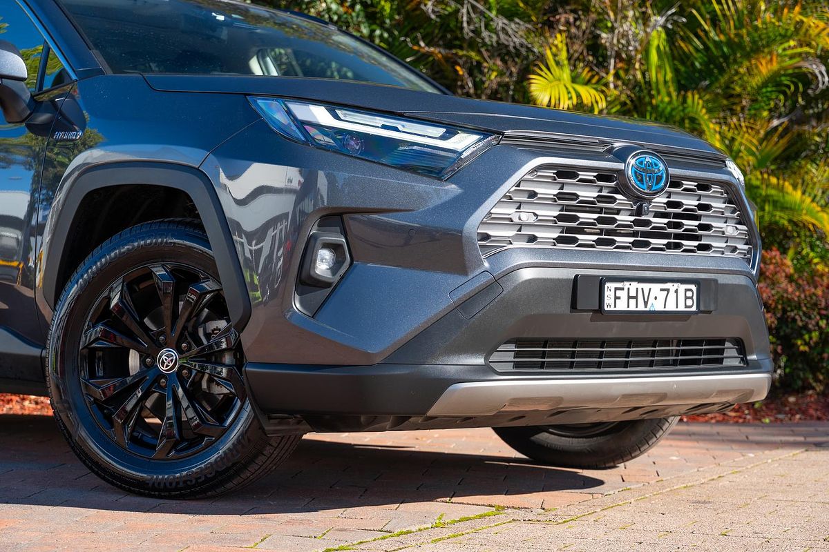 2024 Toyota RAV4 Cruiser AXAH54R
