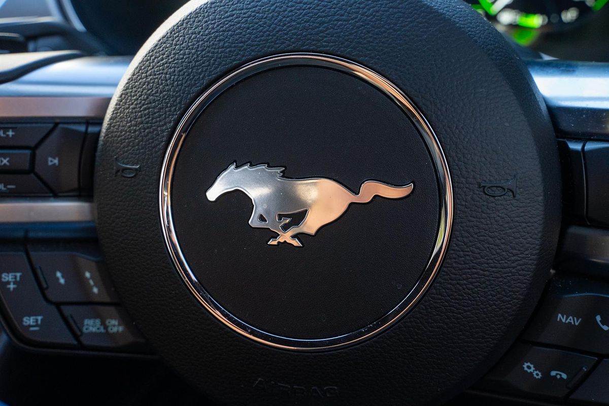 2019 Ford Mustang GT FN