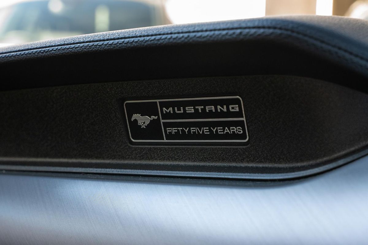 2019 Ford Mustang GT FN