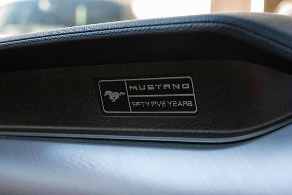 2019 Ford Mustang GT FN