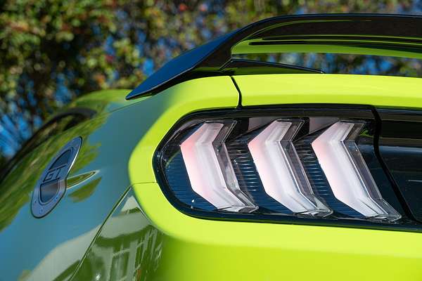 2019 Ford Mustang GT FN