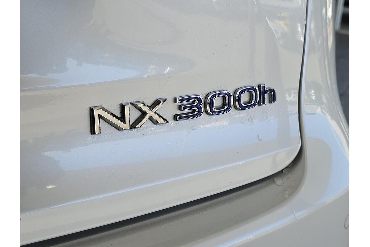 2021 Lexus NX NX300h Sports Luxury AYZ15R