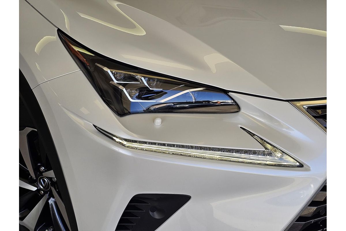 2021 Lexus NX NX300h Sports Luxury AYZ15R