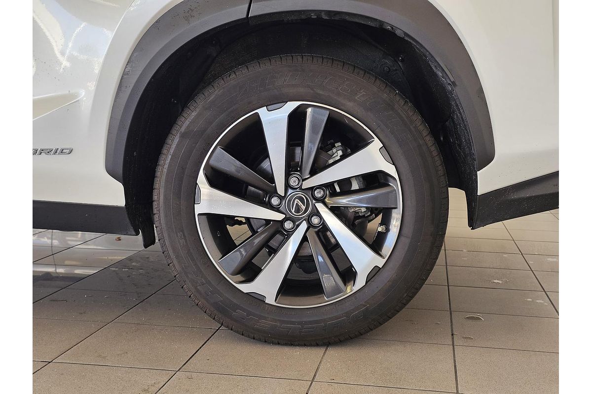 2021 Lexus NX NX300h Sports Luxury AYZ15R