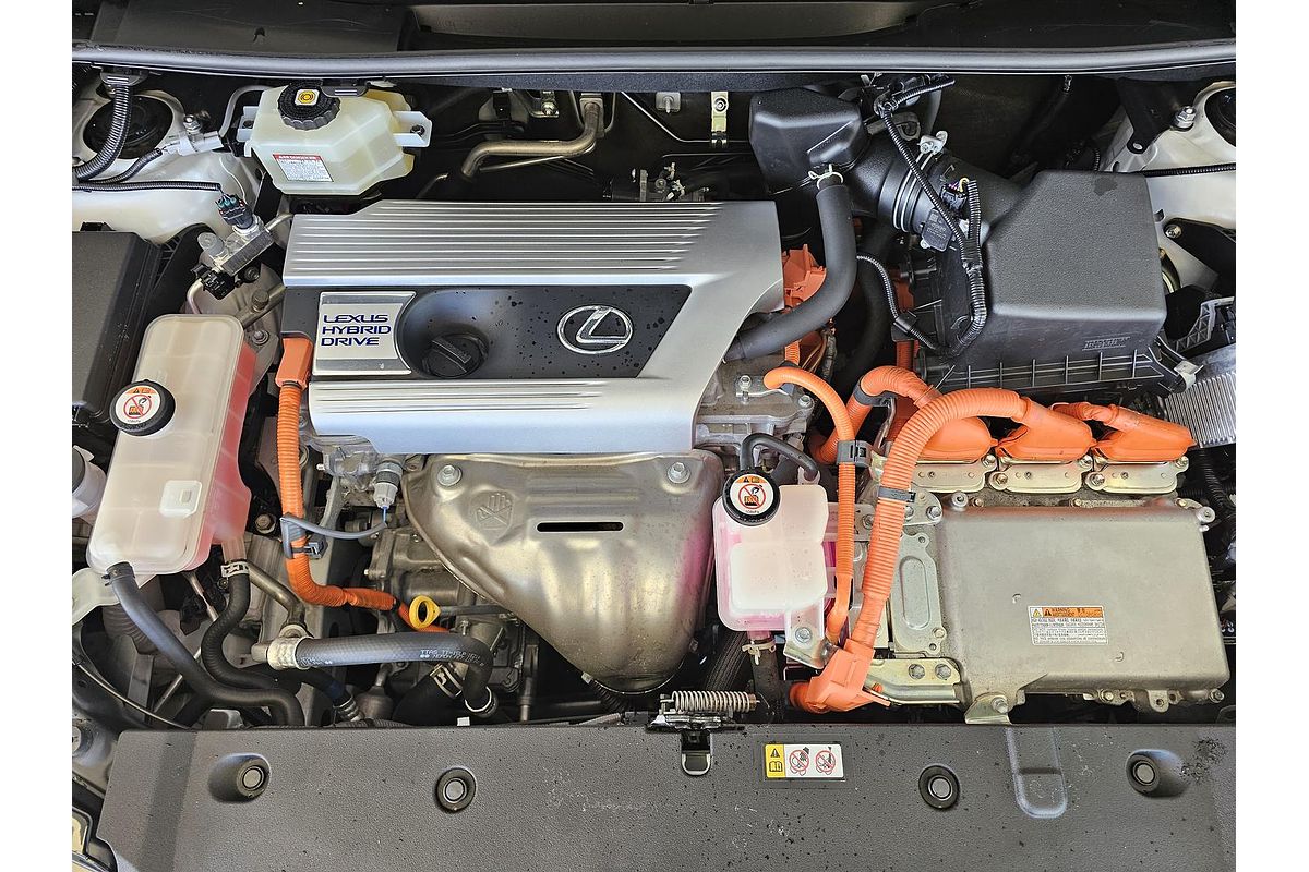 2021 Lexus NX NX300h Sports Luxury AYZ15R