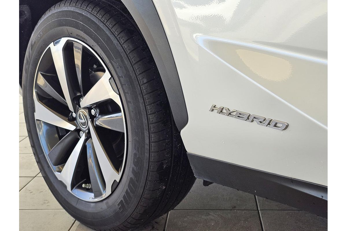 2021 Lexus NX NX300h Sports Luxury AYZ15R