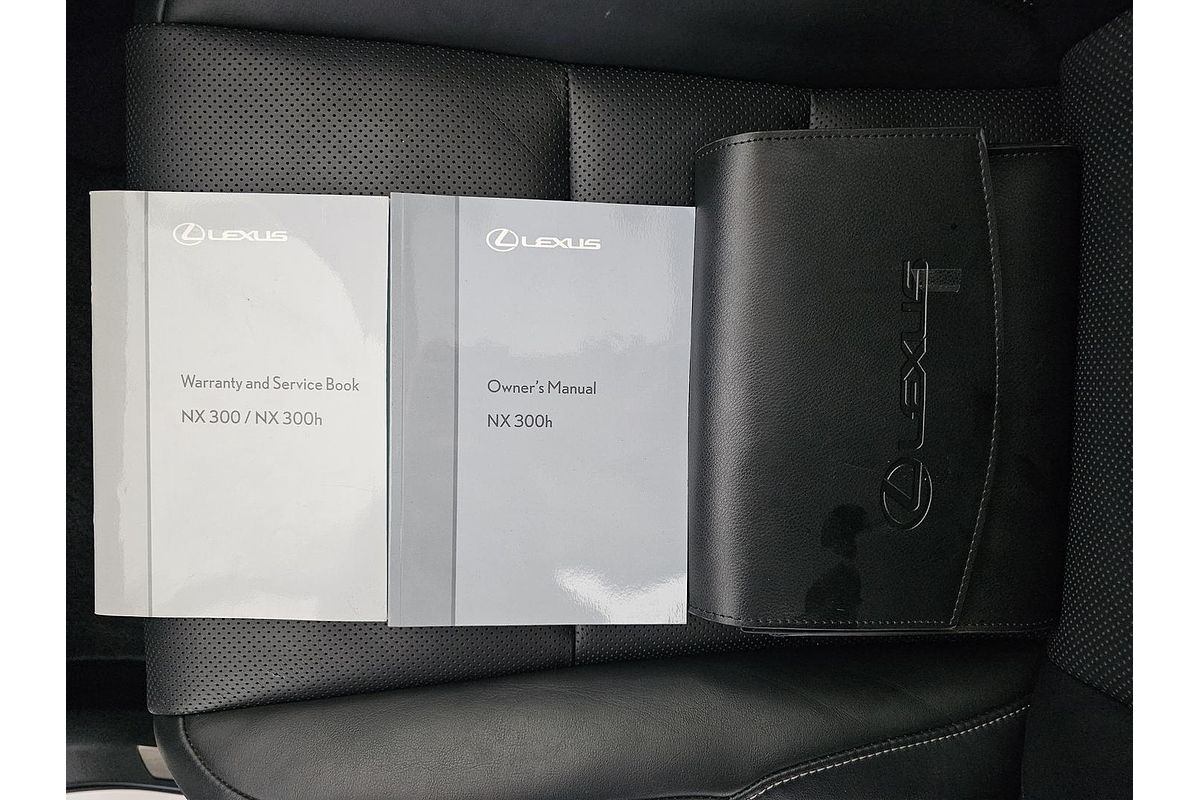 2021 Lexus NX NX300h Sports Luxury AYZ15R