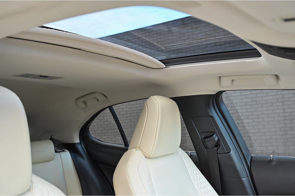 2019 Lexus UX UX200 Luxury MZAA10R