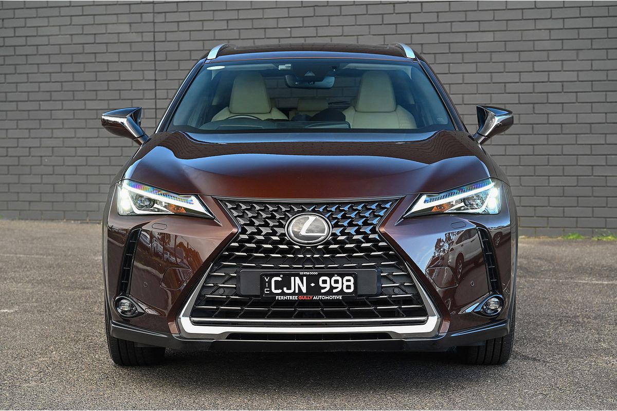 2019 Lexus UX UX200 Luxury MZAA10R