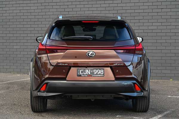2019 Lexus UX UX200 Luxury MZAA10R