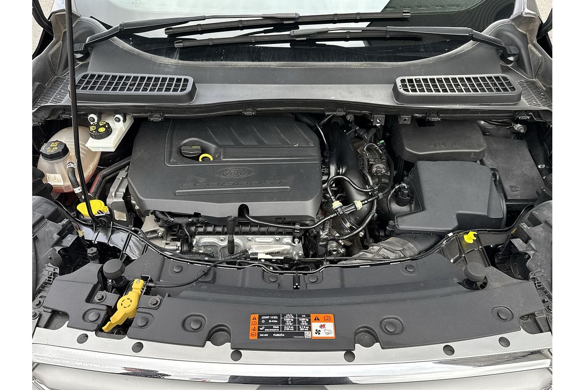 2017 Ford Escape Trend ZG