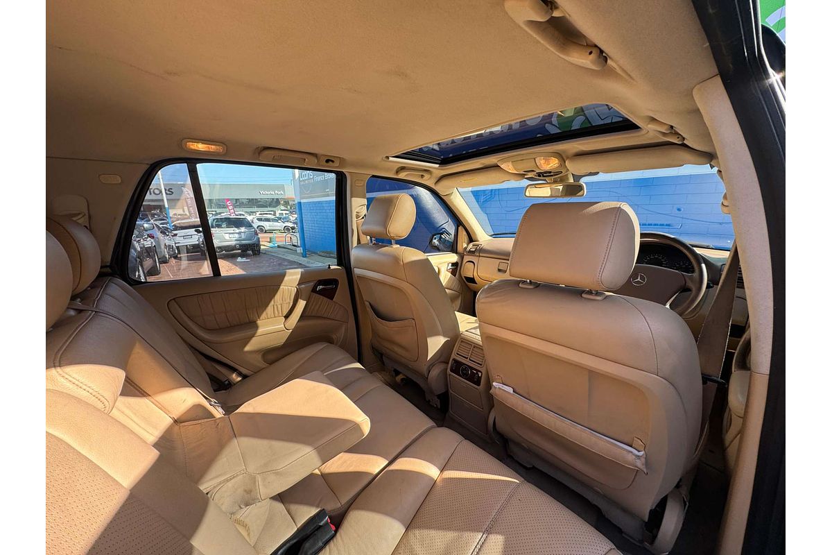 2003 Mercedes-Benz M-Class ML500 Luxury W163