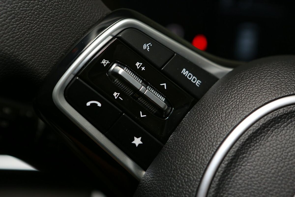 2024 Kia Carnival S KA4 PE