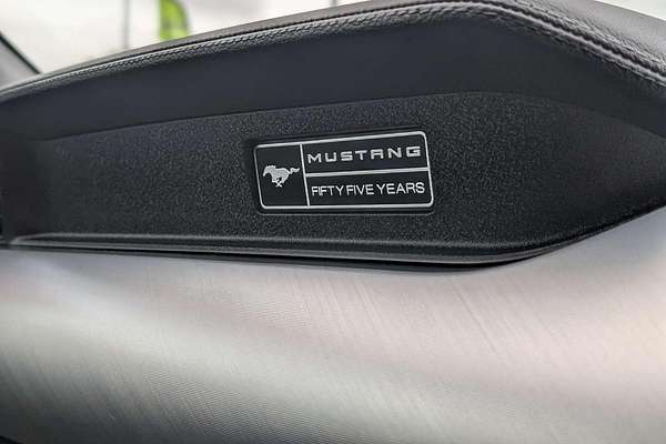 2019 Ford Mustang GT FN